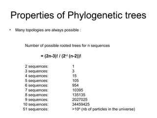 Properties of Phylogenetic trees 
• Many topologies are always possible : 
Number of possible rooted trees for n sequences 
= (2n-3)! / (2n-2 (n-2))! 
2 sequences: 1 
3 sequences: 3 
4 sequences: 15 
5 sequences: 105 
6 sequences: 954 
7 sequences: 10395 
8 sequences: 135135 
9 sequences: 2027025 
10 sequences: 34459425 
51 sequences: >1080 (nb of particles in the universe) 
 