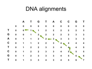 DNA alignments 
A T G T A C C G T 
0 0 0 0 0 0 0 0 0 0 
T 0 0 1 1 2 2 2 2 2 3 
G 0 0 1 2 2 2 2 2 3 3 
A 0 1 1 2 2 3 3 3 3 3 
C 0 1 1 2 2 3 4 4 4 4 
T 0 1 2 2 3 3 4 4 4 5 
C 0 1 2 2 3 3 4 5 5 5 
G 0 1 2 3 3 3 4 5 6 6 
T 0 1 3 3 4 3 4 5 6 7 
 