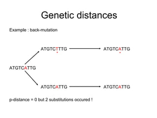 Genetic distances 
Example : back-mutation 
ATGTCTTTG ATGTCATTG 
ATGTCATTG 
* * 
ATGTCATTG ATGTCATTG 
p-distance = 0 but 2 substitutions occured ! 
 
