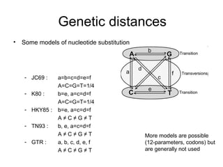 Genetic distances 
• Some models of nucleotide substitution 
- JC69 : a=b=c=d=e=f 
A=C=G=T=1/4 
- K80 : b=e, a=c=d=f 
A=C=G=T=1/4 
- HKY85 : b=e, a=c=d=f 
A ≠ C ≠ G ≠ T 
- TN93 : b, e, a=c=d=f 
A ≠ C ≠ G ≠ T 
- GTR : a, b, c, d, e, f 
A ≠ C ≠ G ≠ T 
More models are possible 
(12-parameters, codons) but 
are generally not used 
 