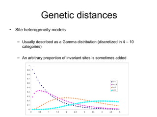 Genetic distances 
• Site heterogeneity models 
– Usually described as a Gamma distribution (discretized in 4 – 10 
categories) 
– An arbitrary proportion of invariant sites is sometimes added 
1 
0.9 
0.8 
0.7 
0.6 
0.5 
0.4 
0.3 
0.2 
0.1 
0 
k=1 
k=1.5 
k=3 
k=5 
0 0.5 1 1.5 2 2.5 3 3.5 4 4.5 5 
 
