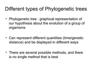 Different types of Phylogenetic trees 
• Phylogenetic tree : graphical representation of 
our hypothesis about the evolution of a group of 
organisms 
• Can represent different quantities (time/genetic 
distance) and be displayed in different ways 
• There are several possible methods, and there 
is no single method that is best 
 