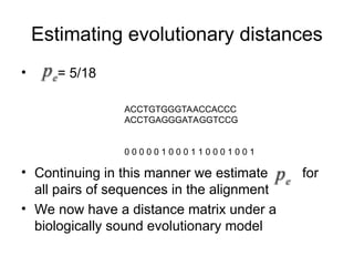 Estimating evolutionary distances
• = 5/18
• Continuing in this manner we estimate for
all pairs of sequences in the alignment
• We now have a distance matrix under a
biologically sound evolutionary model
ACCTGTGGGTAACCACCC
ACCTGAGGGATAGGTCCG
0 0 0 0 0 1 0 0 0 1 1 0 0 0 1 0 0 1
 