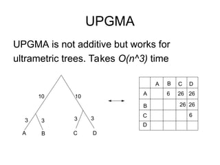 UPGMA
UPGMA is not additive but works for
ultrametric trees. Takes O(n^3) time
A D
C
B
3 3
3
10
10
A
B
C
D
A B C D
6 26 26
26 26
6
3
 