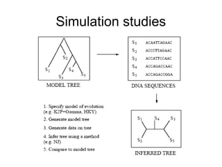 Simulation studies
 