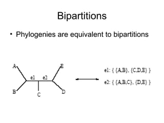 Bipartitions
• Phylogenies are equivalent to bipartitions
 