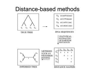 Distance-based methods
 