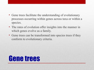 Gene trees
• Gene trees facilitate the understanding of evolutionary
processes occurring within genes across taxa or within a
species.
• The rates of evolution offer insights into the manner in
which genes evolve as a family.
• Gene trees can be transformed into species trees if they
conform to evolutionary criteria.
 