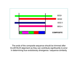 The ends of the composite sequence should be trimmed after
CLUSTALW alignment as they can contribute significantly to error
in determining true evolutionary divergence / sequence similarity
 