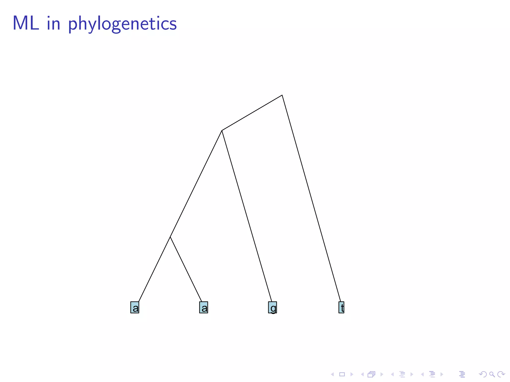 ML in phylogenetics
a a g t
 