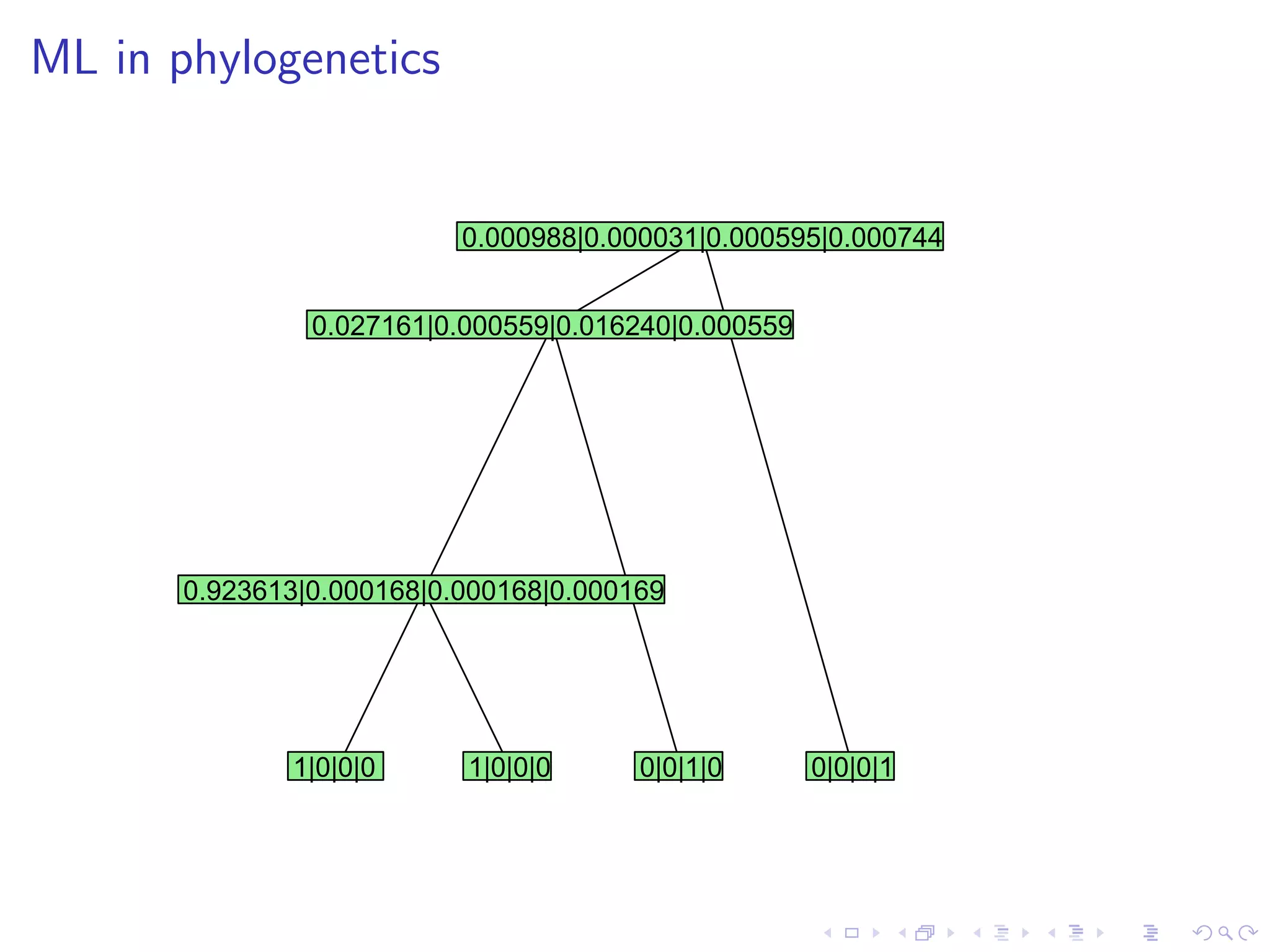 ML in phylogenetics
1|0|0|0 1|0|0|0 0|0|1|0 0|0|0|1
0.000988|0.000031|0.000595|0.000744
0.027161|0.000559|0.016240|0.000559
0.923613|0.000168|0.000168|0.000169
 