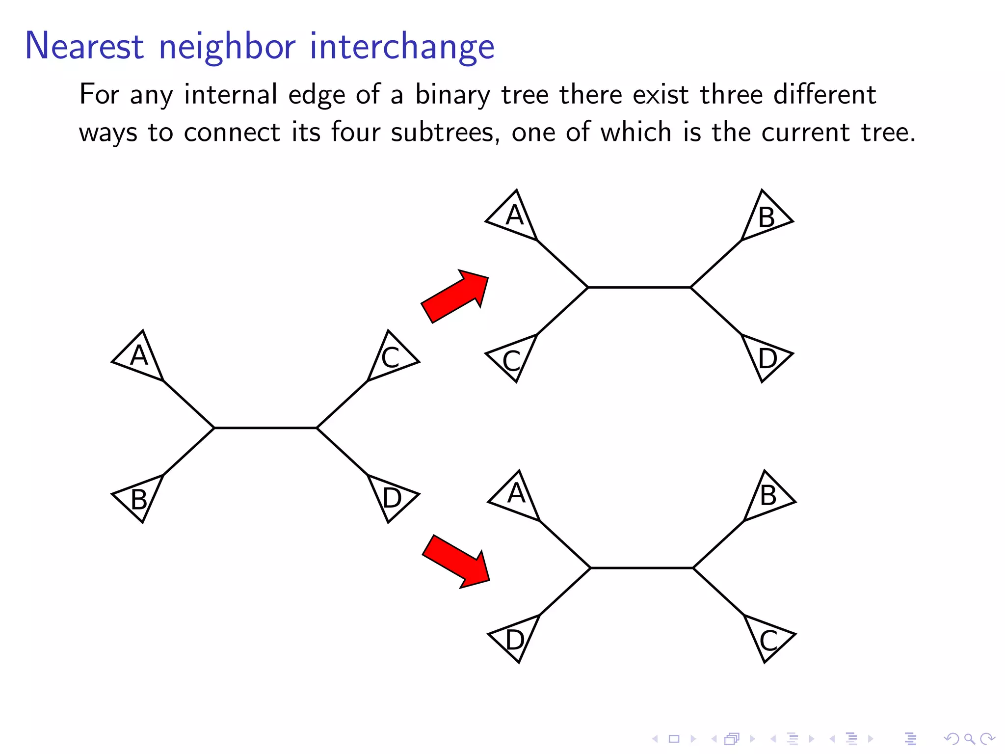 Nearest neighbor interchange
For any internal edge of a binary tree there exist three diﬀerent
ways to connect its four subtrees, one of which is the current tree.
A
B
C
D
A
C
B
D
A
D
B
C
 