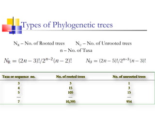 Types of Phylogenetic trees
NR – No. of Rooted trees NU – No. of Unrooted trees
n – No. of Taxa
 