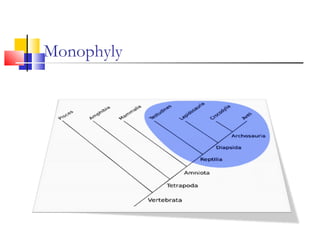 Monophyly
 