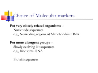 For very closely related organisms –
Nucleotide sequences
e.g., Noncoding regions of Mitochondrial DNA
For more divergent groups –
Slowly evolving Nt sequences
e.g., Ribosomal RNA
Protein sequences
Choice of Molecular markers
 