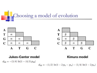 Choosing a model of evolution
 