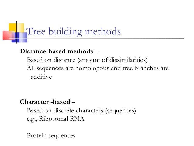 character based method of phylogenetic analysis