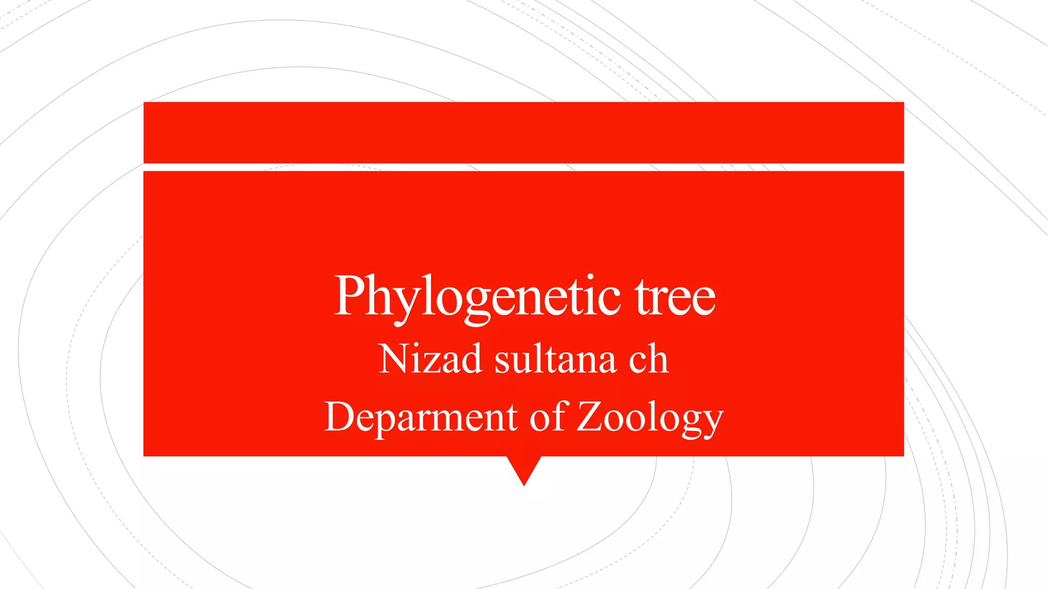 Phylogenetic tree
Nizad sultana ch
Deparment of Zoology
 