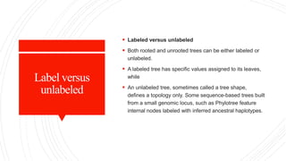Label versus
unlabeled
 Labeled versus unlabeled
 Both rooted and unrooted trees can be either labeled or
unlabeled.
 A labeled tree has specific values assigned to its leaves,
while
 An unlabeled tree, sometimes called a tree shape,
defines a topology only. Some sequence-based trees built
from a small genomic locus, such as Phylotree feature
internal nodes labeled with inferred ancestral haplotypes.
 