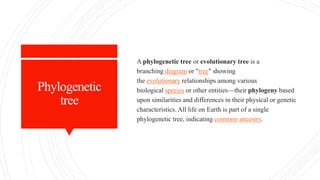 Phylogenetic
tree
A phylogenetic tree or evolutionary tree is a
branching diagram or "tree" showing
the evolutionary relationships among various
biological species or other entities—their phylogeny based
upon similarities and differences in their physical or genetic
characteristics. All life on Earth is part of a single
phylogenetic tree, indicating common ancestry.
 