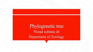 Phylogenetic tree
Nizad sultana ch
Deparment of Zoology
 