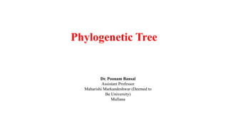 Phylogenetic Tree
Dr. Poonam Bansal
Assistant Professor
Maharishi Markandeshwar (Deemed to
Be University)
Mullana
 