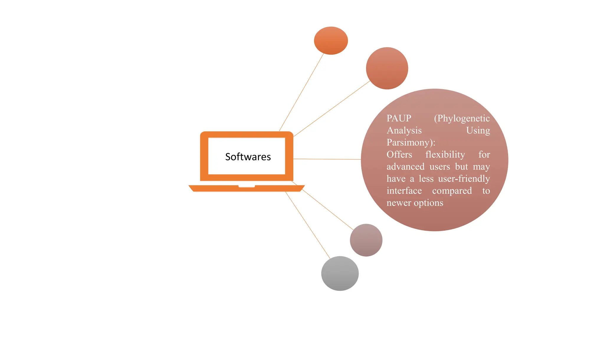 Softwares
PAUP (Phylogenetic
Analysis Using
Parsimony):
Offers flexibility for
advanced users but may
have a less user-friendly
interface compared to
newer options
 