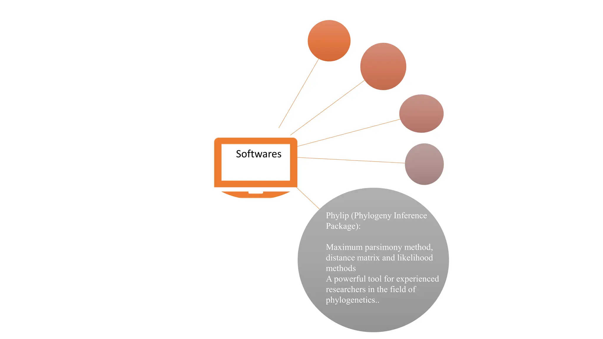 Softwares
Phylip (Phylogeny Inference
Package):
Maximum parsimony method,
distance matrix and likelihood
methods
A powerful tool for experienced
researchers in the field of
phylogenetics..
 