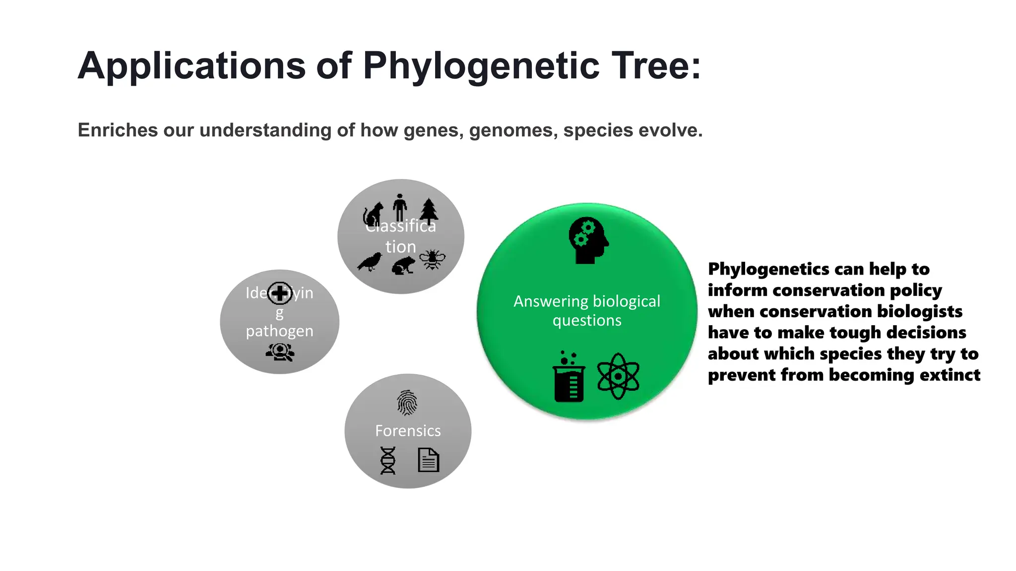 Applications of Phylogenetic Tree:
Enriches our understanding of how genes, genomes, species evolve.
Classifica
tion
Answering biological
questions
Forensics
Identifyin
g
pathogen
s
Phylogenetics can help to
inform conservation policy
when conservation biologists
have to make tough decisions
about which species they try to
prevent from becoming extinct
 