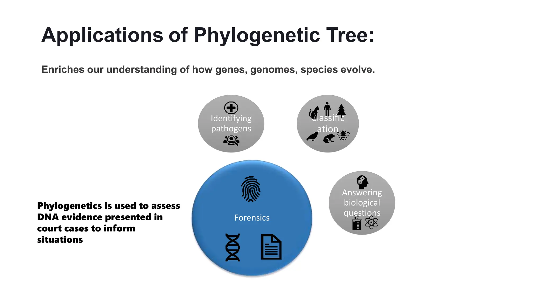 Phylogenetic tree construction step by step | PPTX | Biological ...