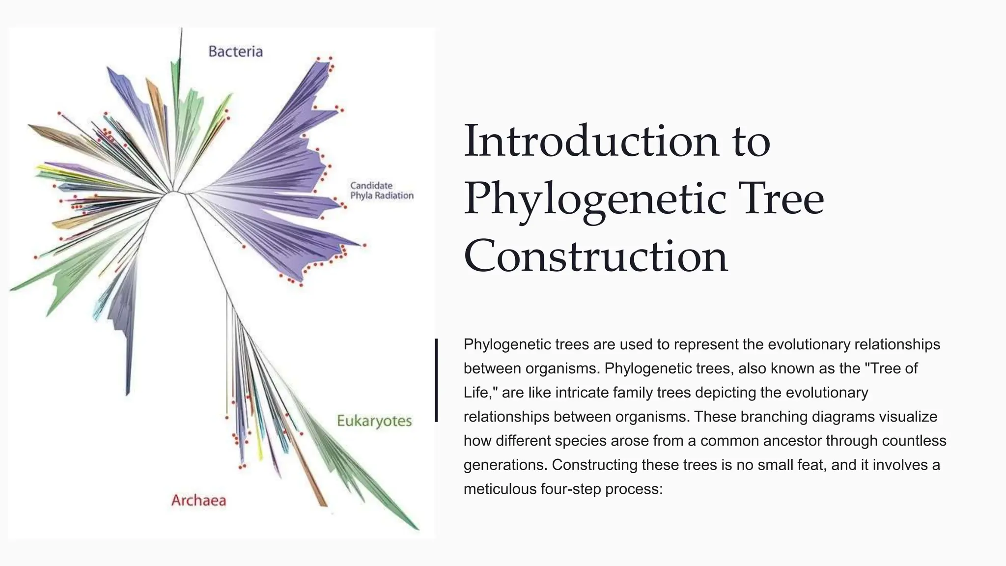 Phylogenetic tree construction step by step | PPTX