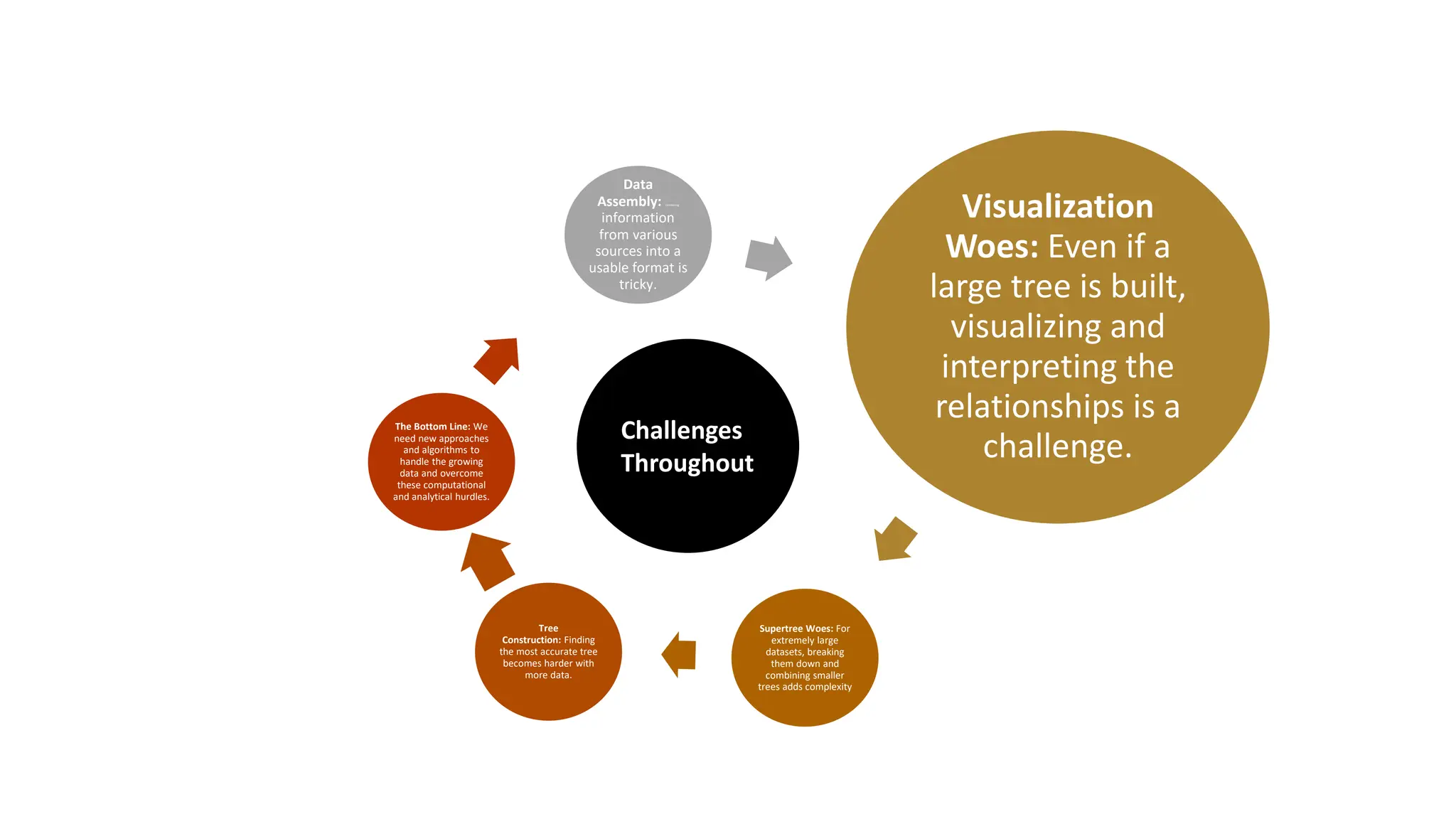 Data
Assembly: Combining
information
from various
sources into a
usable format is
tricky.
Visualization
Woes: Even if a
large tree is built,
visualizing and
interpreting the
relationships is a
challenge.
Supertree Woes: For
extremely large
datasets, breaking
them down and
combining smaller
trees adds complexity
Tree
Construction: Finding
the most accurate tree
becomes harder with
more data.
The Bottom Line: We
need new approaches
and algorithms to
handle the growing
data and overcome
these computational
and analytical hurdles.
Challenges
Throughout
 