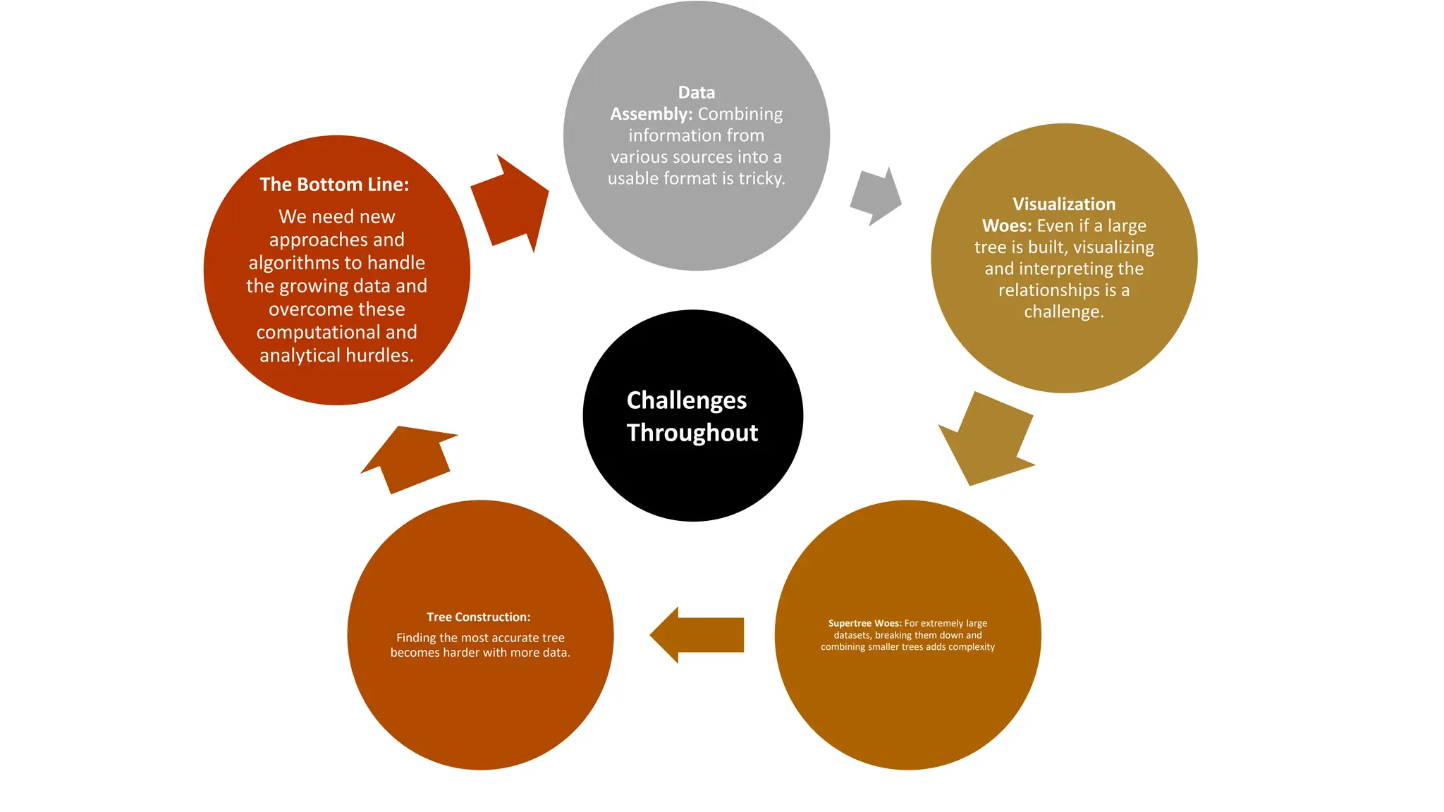 Data
Assembly: Combining
information from
various sources into a
usable format is tricky.
Visualization
Woes: Even if a large
tree is built, visualizing
and interpreting the
relationships is a
challenge.
Supertree Woes: For extremely large
datasets, breaking them down and
combining smaller trees adds complexity
Tree Construction:
Finding the most accurate tree
becomes harder with more data.
The Bottom Line:
We need new
approaches and
algorithms to handle
the growing data and
overcome these
computational and
analytical hurdles.
Challenges
Throughout
 