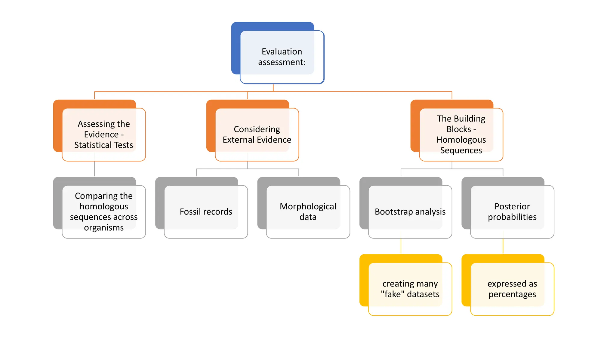 Assessing the
Evidence -
Statistical Tests
Comparing the
homologous
sequences across
organisms
Considering
External Evidence
Fossil records
Morphological
data
The Building
Blocks -
Homologous
Sequences
Bootstrap analysis
creating many
"fake" datasets
Posterior
probabilities
expressed as
percentages
Evaluation
assessment:
 