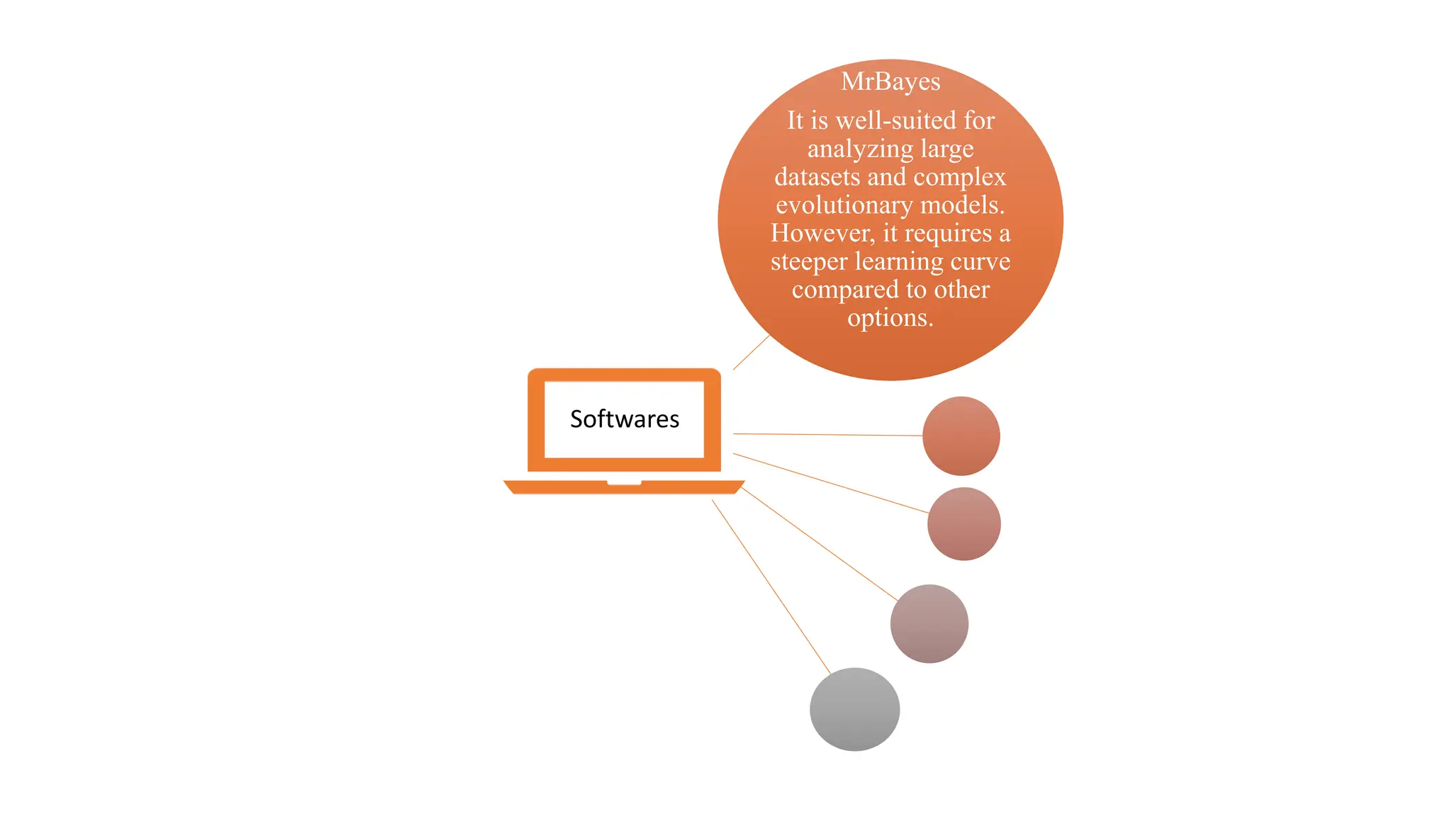 MrBayes
It is well-suited for
analyzing large
datasets and complex
evolutionary models.
However, it requires a
steeper learning curve
compared to other
options.
Softwares
 