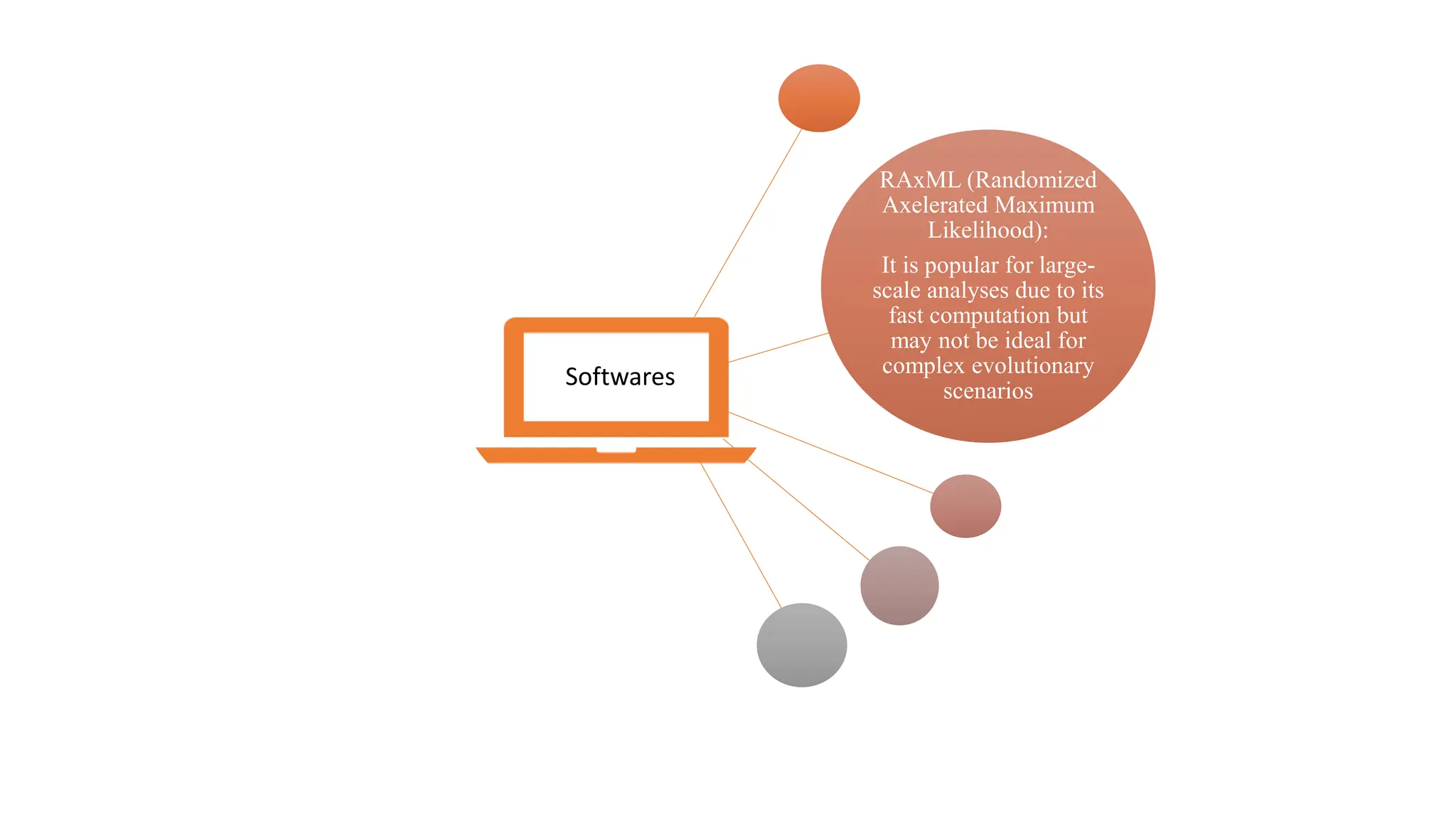 RAxML (Randomized
Axelerated Maximum
Likelihood):
It is popular for large-
scale analyses due to its
fast computation but
may not be ideal for
complex evolutionary
scenarios
Softwares
 