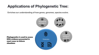 Applications of Phylogenetic Tree:
Enriches our understanding of how genes, genomes, species evolve.
Classific
ation
Answering
biological
questions
Forensics
Identifying
pathogens
Phylogenetics is used to assess
DNA evidence presented in
court cases to inform
situations
 