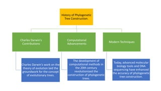History of Phylogenetic
Tree Construction.
Charles Darwin's
Contributions
Charles Darwin's work on the
theory of evolution laid the
groundwork for the concept
of evolutionary trees.
Computational
Advancements
The development of
computational methods in
the 20th century
revolutionized the
construction of phylogenetic
trees.
Modern Techniques
Today, advanced molecular
biology tools and DNA
sequencing have enhanced
the accuracy of phylogenetic
tree construction.
 