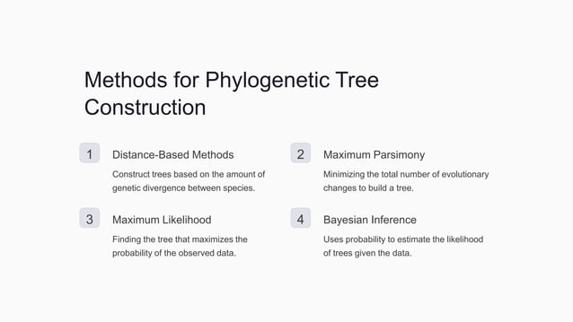 Phylogenetic tree construction step by step | PPTX | Biological ...