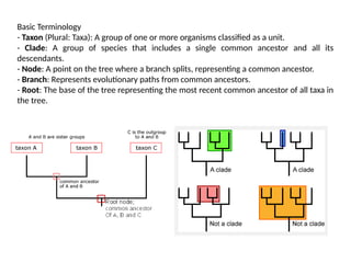 Phylogenetic tree by Dr. Amrita Saxena.pptx