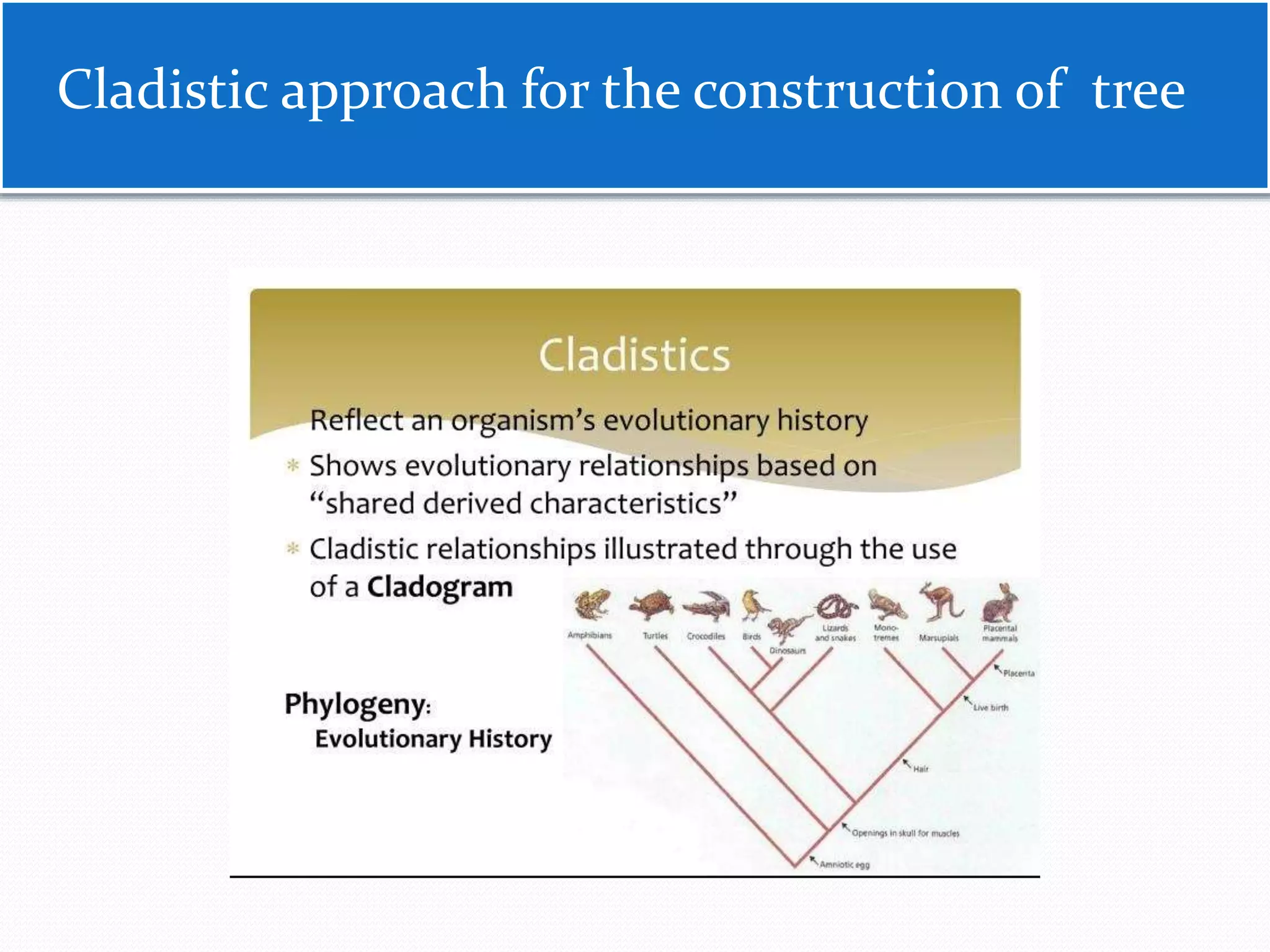 Phylogenetic tree and its construction and phylogeny of | PPTX