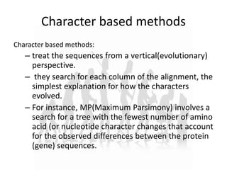 Character based methods
Character based methods:
– treat the sequences from a vertical(evolutionary)
perspective.
– they search for each column of the alignment, the
simplest explanation for how the characters
evolved.
– For instance, MP(Maximum Parsimony) involves a
search for a tree with the fewest number of amino
acid (or nucleotide character changes that account
for the observed differences between the protein
(gene) sequences.
 