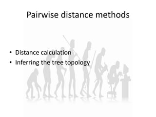 Phylogenetic tree construction | PPTX