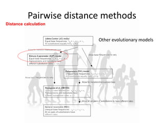 Pairwise distance methods
Other evolutionary models
Distance calculation
 