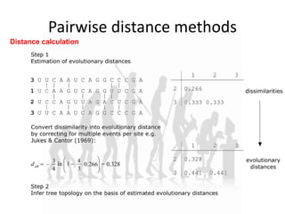 Pairwise distance methods
Distance calculation
 