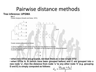 Pairwise distance methods
• when two OTUs are grouped, we treat them as a new single OTU
• when OTUs A, B (which have been grouped before) and C are grouped into a
new node ‘u’, then the distance from node ‘u’ to any other node ‘k’ (e.g. grouping
D and E) is simply computed as follows:
Tree inference: UPGMA
 