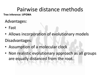 Pairwise distance methods
Advantages:
• Fast
• Allows incorporation of evolutionary models
Disadvantages:
• Assumption of a molecular clock
• Non realistic evolutionary approach as all groups
are equally distanced from the root.
Tree inference: UPGMA
 