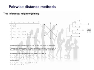 Pairwise distance methods
Tree inference: neighbor joining
 