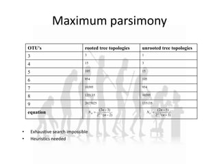 Maximum parsimony
)2(2
)32(
2


 
n
n
N nR
)3(2
)52(
3


 
n
n
N nU
OTU's rooted tree topologies unrooted tree topologies
3 3 1
4 15 3
5 105 15
6 954 105
7 10395 954
8 135135 10395
9 2027025 135135
equation
• Exhaustive search impossible
• Heuristics needed
 