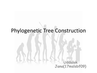 Phylogenetic Tree Construction
Uddalok
Jana(17mslsbf09)
 